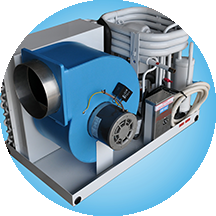 Training/BEE & EcoFriendly